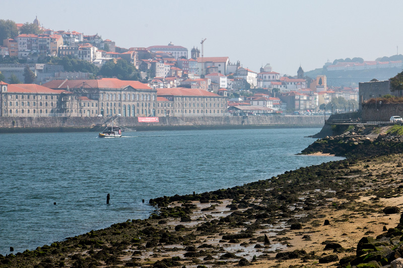 ����� (Porto)
