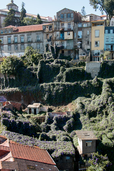 ����� (Porto)