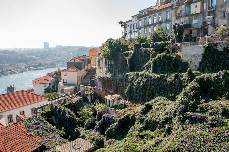 ����� (Porto)