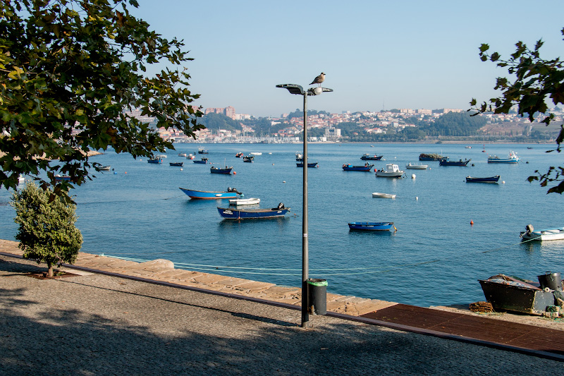 ����� (Porto)