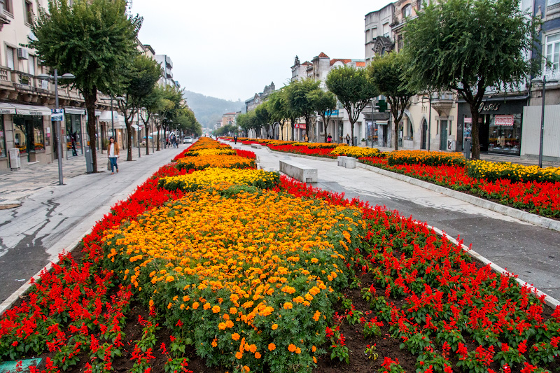 ����� (Braga)