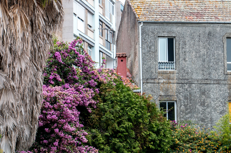 ���� (Vigo)