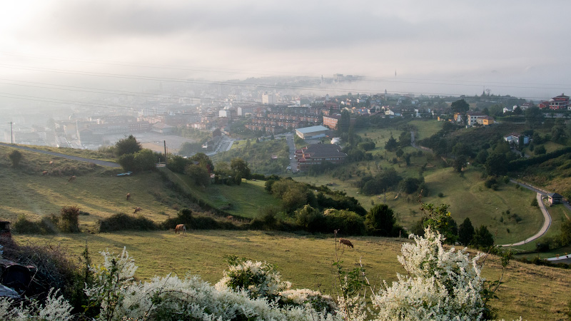 ������ (Oviedo)