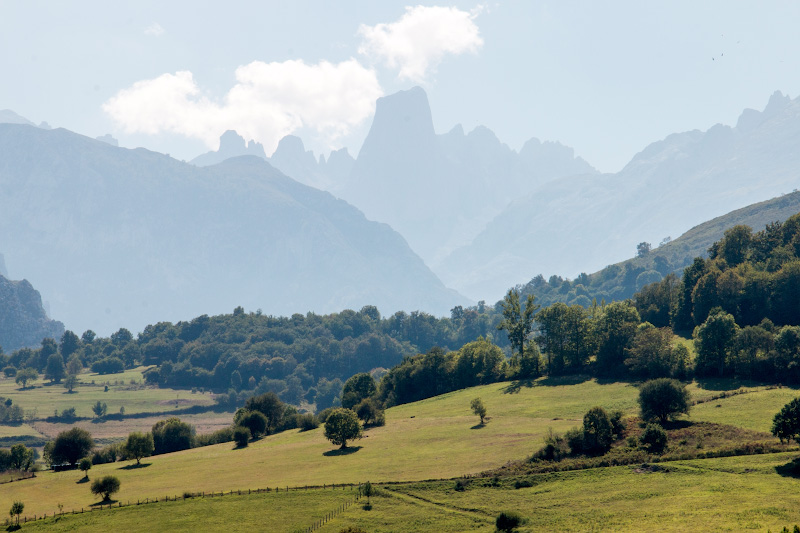 ������������ ���� ����� �� ������ (Parque Nacional de Los Picos de Europa)
