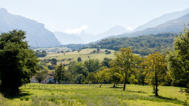 ������������ ���� ����� �� ������ (Parque Nacional de Los Picos de Europa)