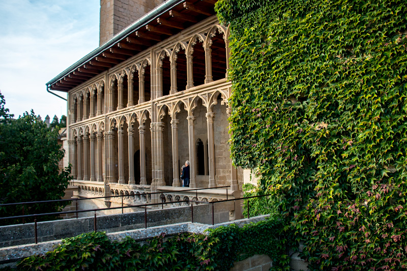 ����� (Olite)